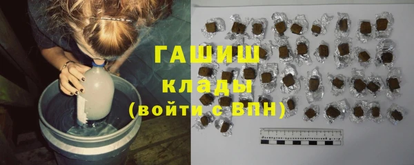 индика Балахна