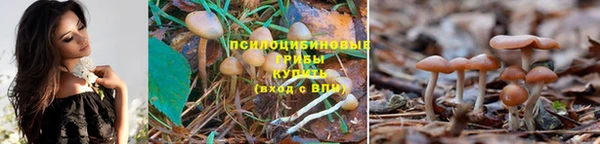 соль ск Балабаново