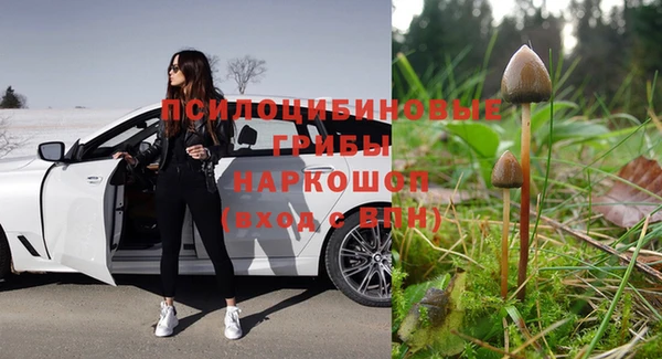 MESCALINE Баксан