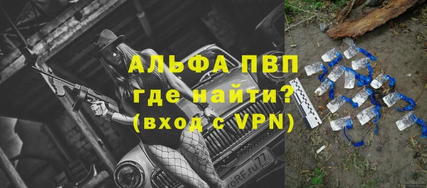 индика Балахна