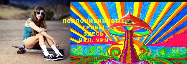 индика Балахна