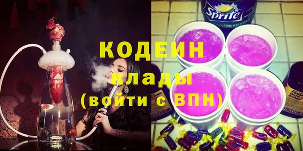 индика Балахна