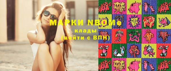 индика Балахна