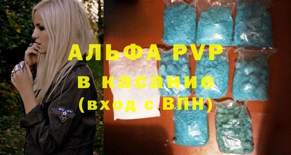 индика Балахна