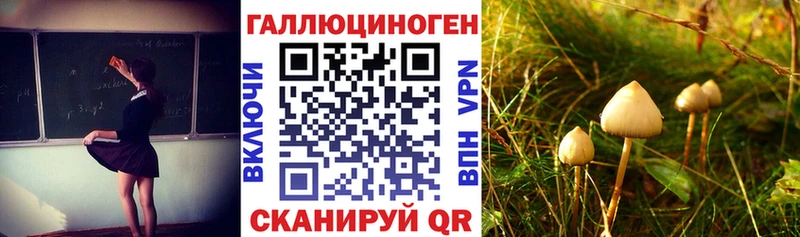 Псилоцибиновые грибы прущие грибы Нязепетровск